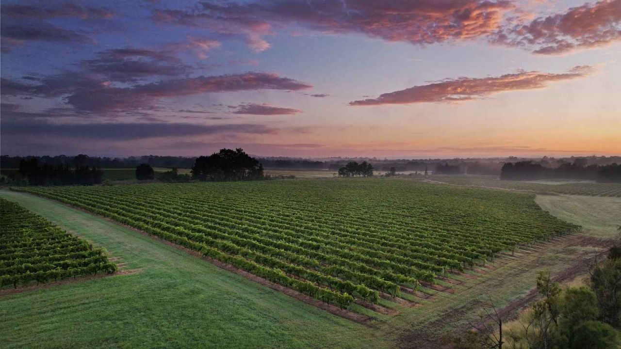 Sacred Shiraz Sites of the Hunter Valley