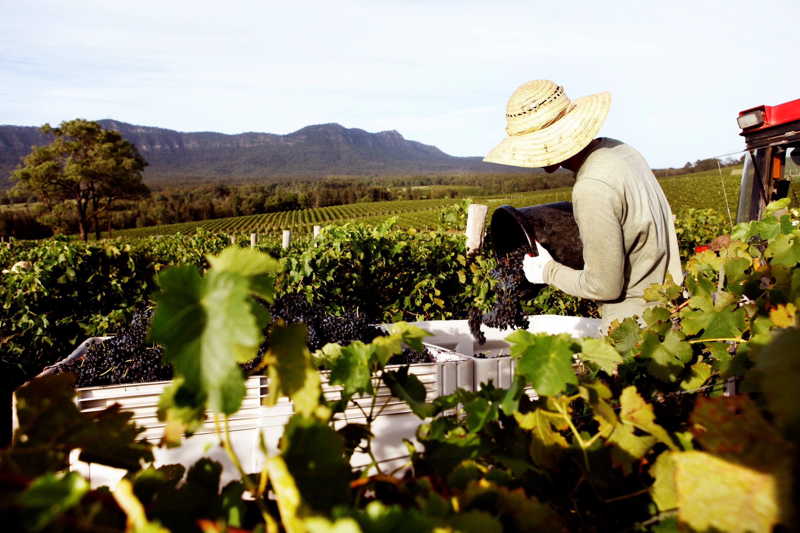 3 things you should know about the Hunter Valley today