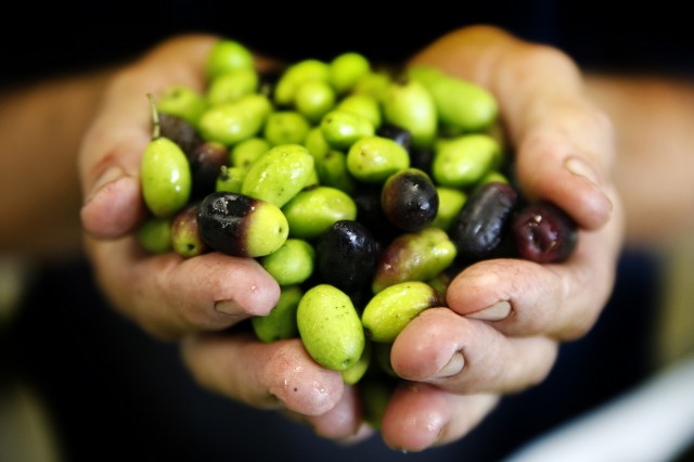 Olives2-by-Chris-Elfes
