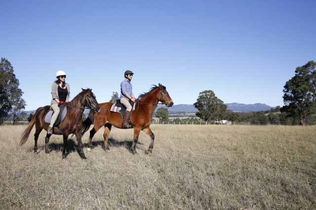 Trail rides with Hunter Valley Horse Riding Adventures