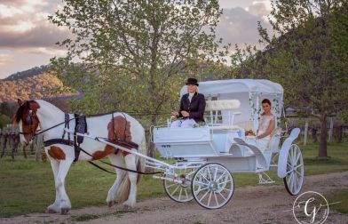 Prestige Horse Carriages
