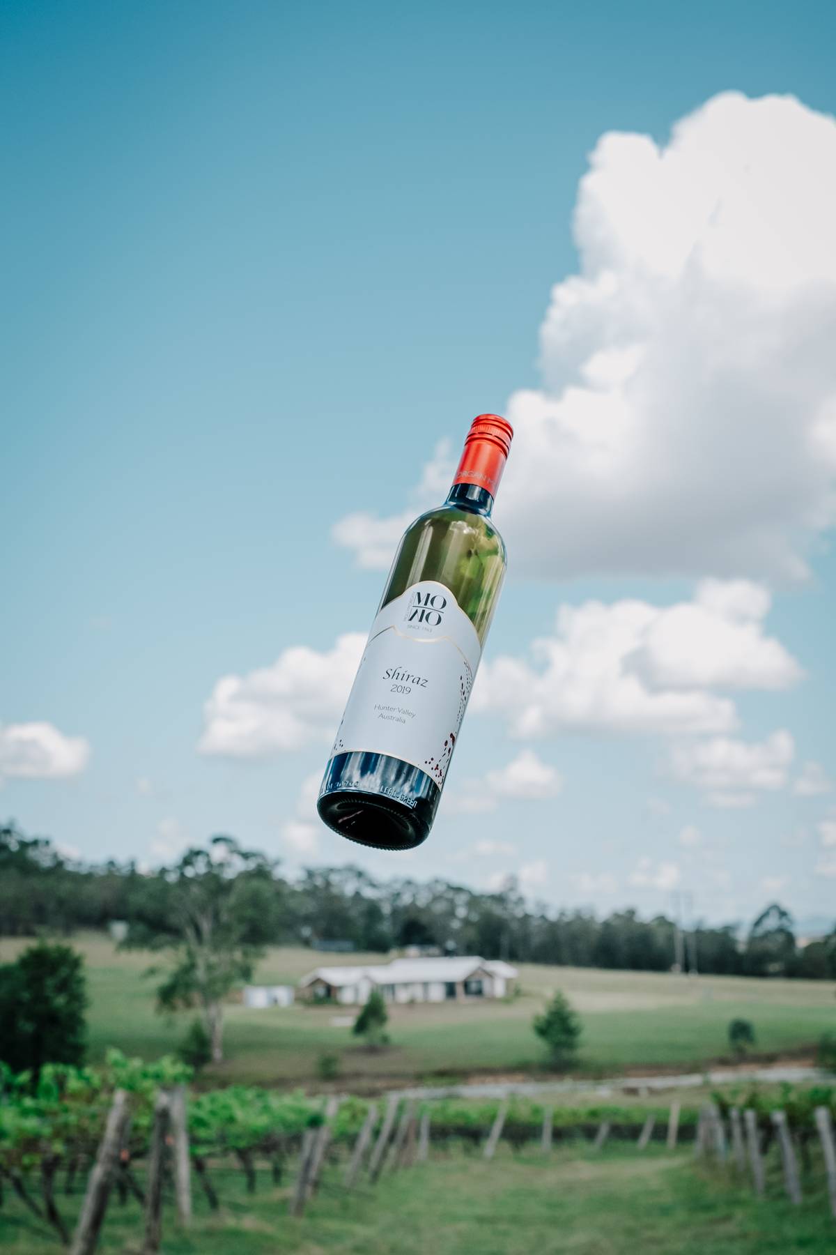 Hunter Valley Wine Country Molly Morgan Wines